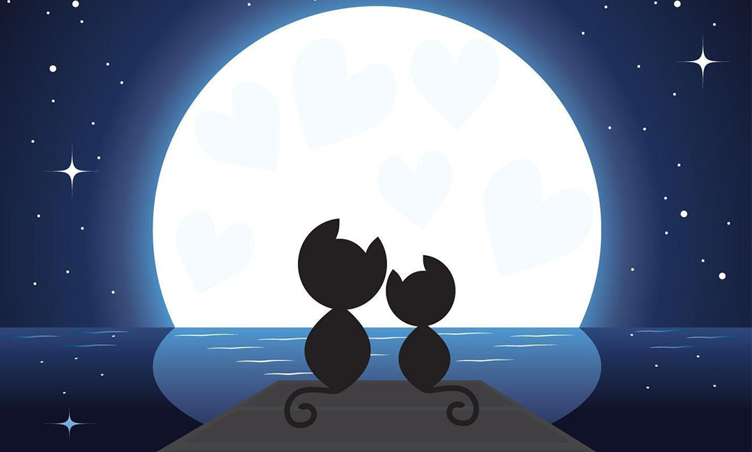 西城潮客汇微信活动策划案例